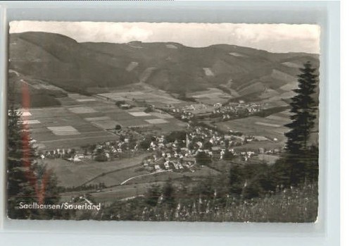 Saalhausen 1964 - , x